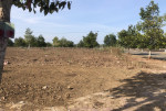 Tôi bán lô đất 1000m2 ngay KDC 44ha, SHR, giá tốt cho giới đầu tư