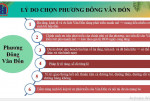 PHƯƠNG ĐÔNG VÂN ĐỒN – khu đô thị nghỉ dưỡng, giải trí phức hợp ven biển