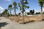 Đất mặt tiền nằm ngay trung tâm Thị Xã Phú My-Bà Rịa Vũng Tàu là mơi kết nối 4 khu vực kinh tế lớn.