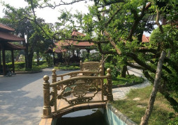 Camland Garden