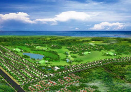 Paradise Bay