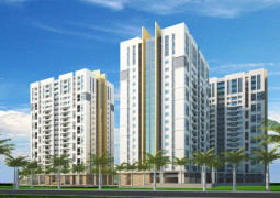 Lotus Apartment