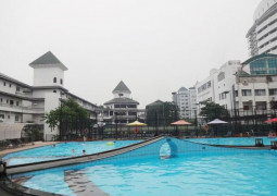Hanoi Flower Villages