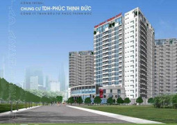 TDH - Phúc Thịnh Đức