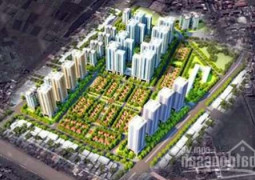 Vibex Từ Liêm