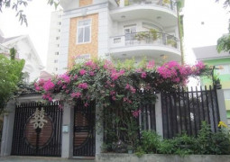 Khu dân cư Tấn Trường