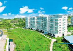 Ocean Vista