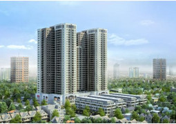 Goldsilk Complex