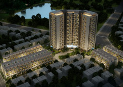 Rice City Sông Hồng