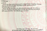 ĐẤT XÂY DỰNG ĐẸP GIÁ SIÊU TỐT ĐƯỜNG THÁI PHIÊN , ĐÀ LẠT