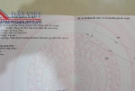 CHÍNH CHỦ CẦN BÁN LÔ ĐẤT SẠCH - ẤP TÂN HÒA - XÃ TÂN HƯƠNG - CHÂU THÀNH - TIỀN GIANG