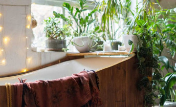 7 loại cây ưa ẩm thích hợp cho không gian phòng tắm
