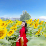 babyhuynh68