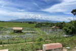 Đất Dân Cắt Bán tại Diên Lâm,Diên Khánh Gần Ngay Hồ Đá Mài Tuyệt Đẹp.