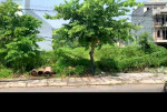 Bán đất mặt tiền đường 334 ,xã Hạ Long ,Vân Đồn ,Quảng Ninh