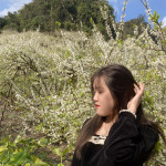 vy thư