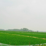 Nguyễn Văn Nhàn