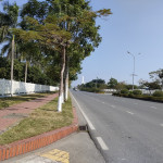 Vì thị Trường