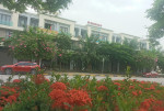 Nhỉnh 12 tỉ. Bao thuế phí. Mặt đại lộ 44m. VSIP, Từ Sơn, Bắc Ninh