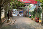 Cho Thuê Nhà Hàng Sân Vườn DT Lớn Mặt Tiền NT Thập Tiện Kinh Doanh Café, Đa Ngành Giá 110tr