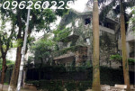 Mua Biệt Thự Tây Nam Linh Đàm Hoàng Mai Xem ngay căn này 230m2, 5T, 13 tiền, 50 tỷ.