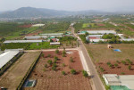 CHỈ TỪ 450 TRIỆU SỞ HỮU NGAY LÔ ĐẤT 150M2, GẦN SÂN BAY LIÊN KHƯƠNG - ĐÀ LẠT, SỔ RIÊNG, SANG TÊN CÔNG CHỨNG NGAY