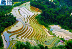 Mảnh đất siêu đẹp ở thôn Lao Chải, cho khách thích cạnh những con suối lớn ở Y Tý.