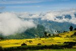 Bán lô đất y tý sapa2 giảm giá mạnh sau mùa dịch