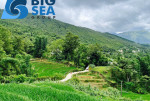 bán mảnh đất trung tâm khu choản thèn biên độ tăng giá cao tại y tý-lào cai!