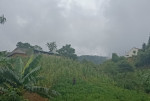 View đẹp, có suối, đầu cơ tốt tại Y Tý - Sapa 2
