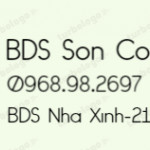Sơn Con HP