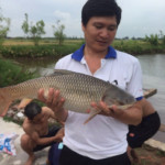 Trần Thái Ngọc