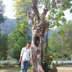 hồ văn đoàn
