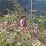 Lê Nguyễn Phương Anh