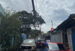 SỐC ! CHỈ 4.6 TỶ có ngay lô đất 86m2 hẻm 5m TẶNG nhà c4 đường BÌNH GIÃ
