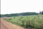 Bán nhanh 1000m2 ngay gần TT đồng xoài, cách chợ tân thành 2km giá 860 triệu