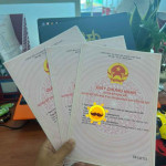 thảo thảo