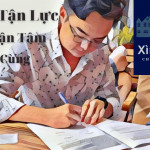 Xìn Realty