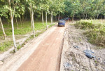 Bán 533m2 đất Tân Bình, Bắc Tân Uyên, Bình Dương giá chỉ 1ty390